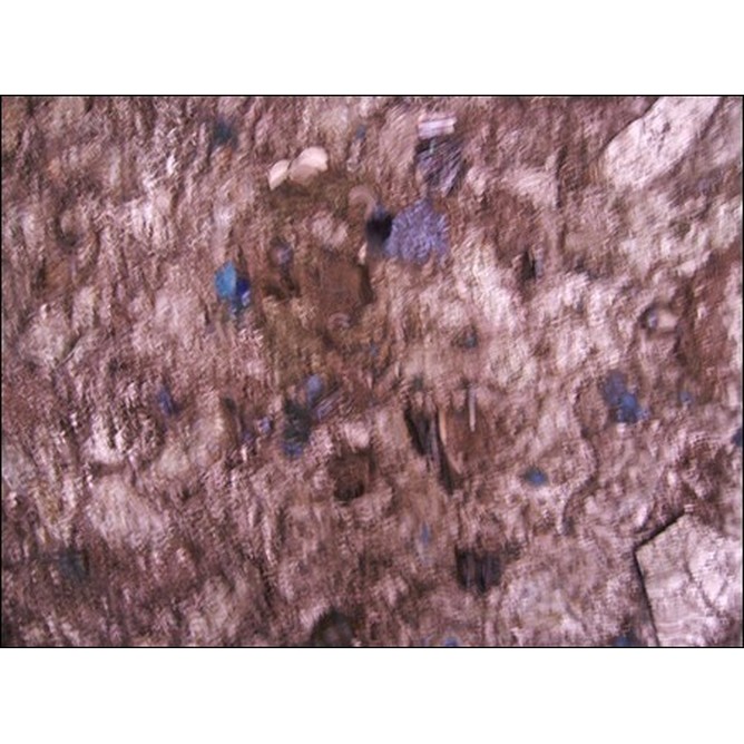 Riflessi